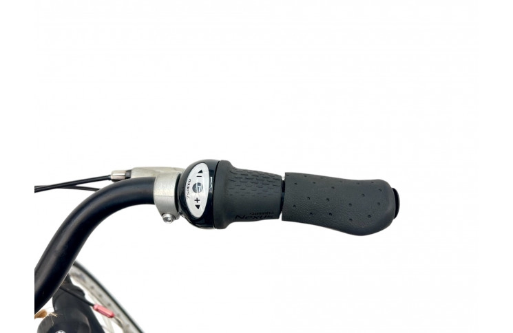 Herenfiets Gazelle Esprit 28" М/55