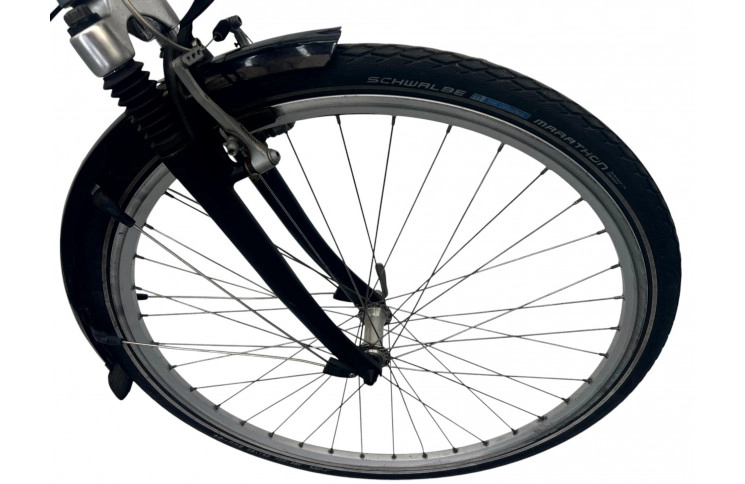 Man's bicycle Giant Freerider 28" 54