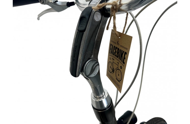 Damesfiets Giant Future w/black/28/al/black/f56