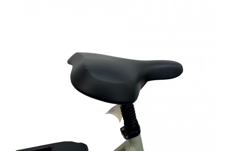 E-Bike VanDijck Leto 7 Chain, 36V18.2Ah 655Wh, 56 sm