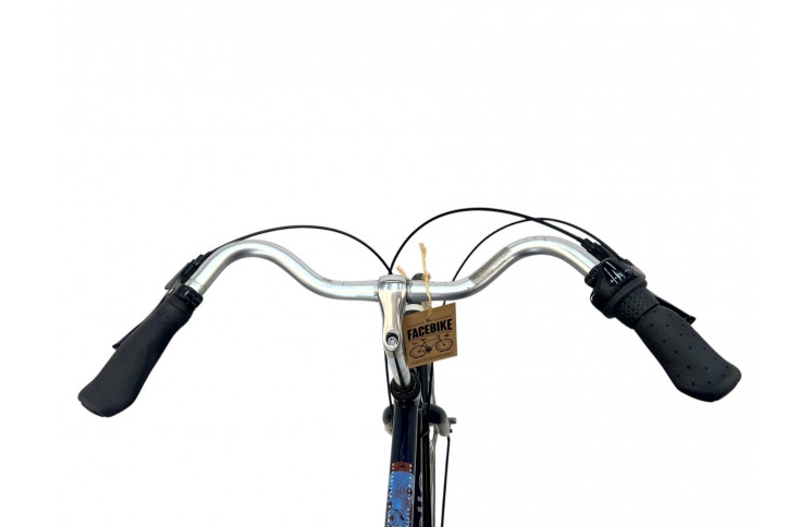 Man's bicycle Gazelle Davos 28" 61