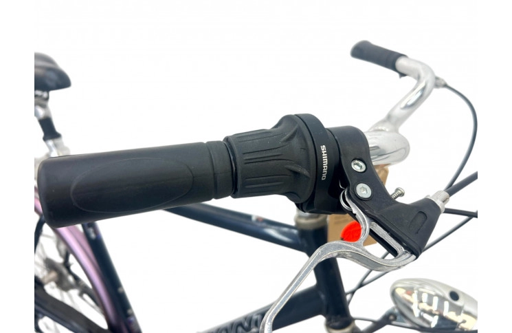 Man's bicycle Giant Freerloer 28" 60