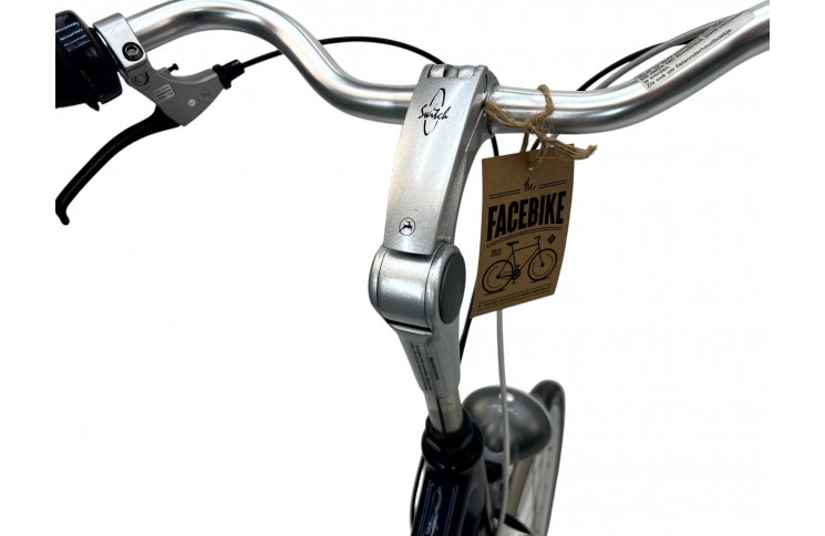 Woman's bicycle Gazelle Davos 28" 49