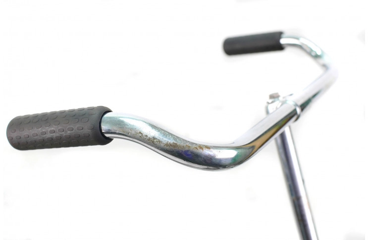 Woman`s bike Batavus Old Dutch