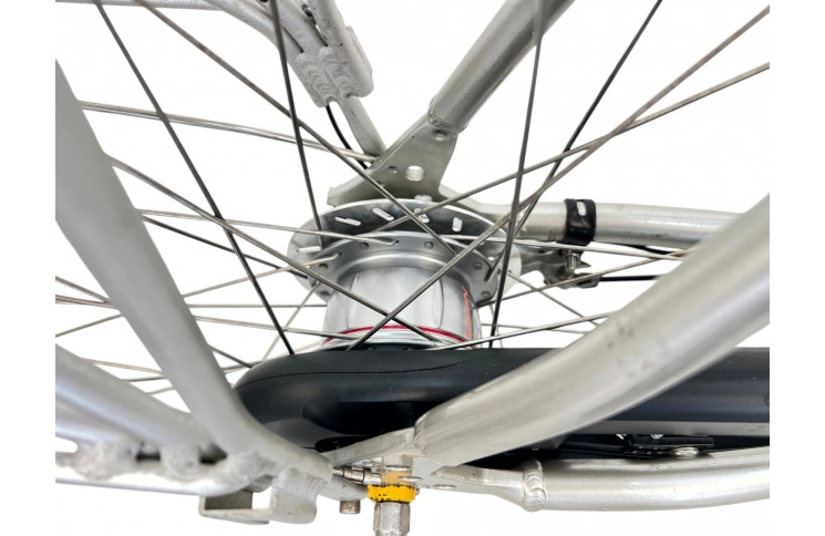 Woman's bicycle Sparta IONRX D/al/grijs/28/stad/f53cm