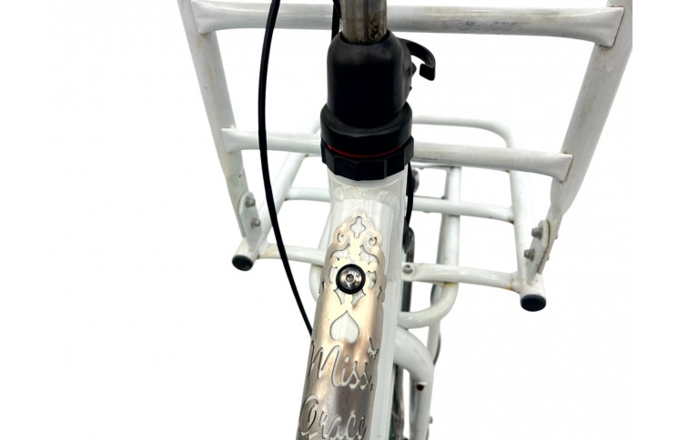 Woman's bicycle GAZELLE MISS GRACE white/28/tr/w/al