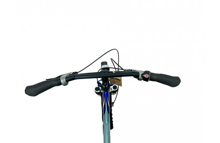 Boys bike Batavus Snake J/blue/al/22/sport/f34