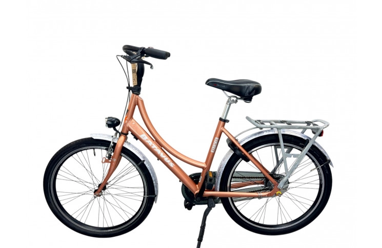 Woman's bicycle Batavus Diva 24"/45cm/brown