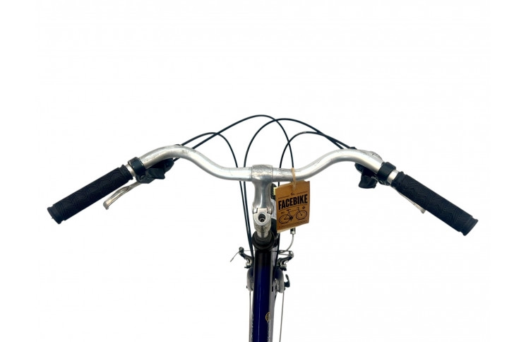 Damesfiets Batavus Cayuca 28" 57