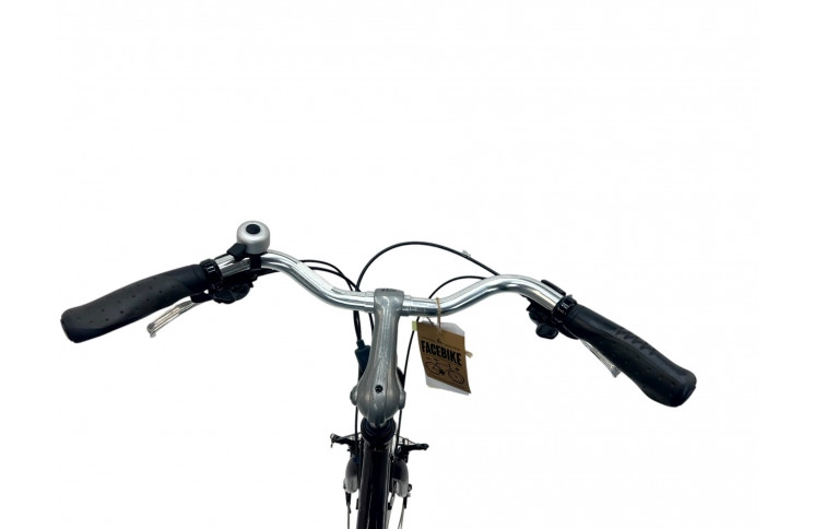 Herenfiets Koga Miyata Road Runner 28" 56