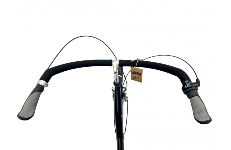 Damesfiets Batavus 28" L/57