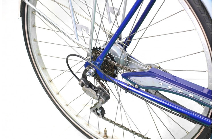 Man's Batavus Champion Tour