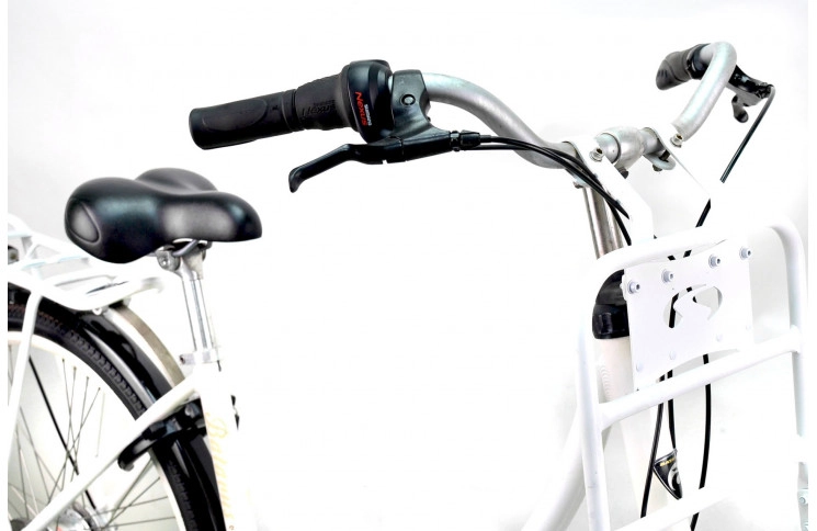 Woman`s bike Batavus Diva