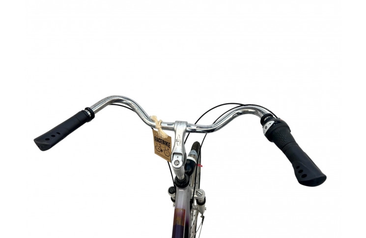 Man's bicycle Gazelle Chamonix 28" 57 cm