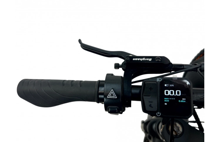 DIABLO E-BIKE, FAT BOY, MATT-BLACK/BLACK, 15,6AH 48V 748,8WH