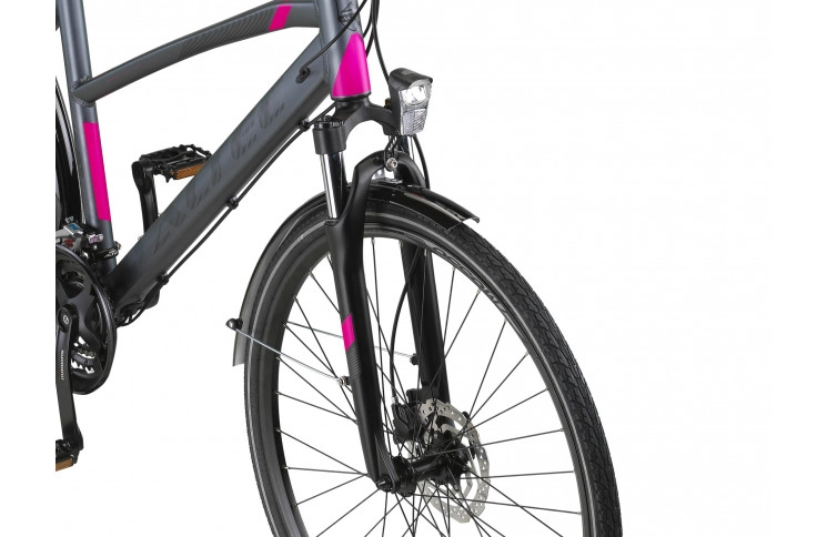 Damesfiets Altec Legarda 28"/49 cm/Antraciet-Roze/285060