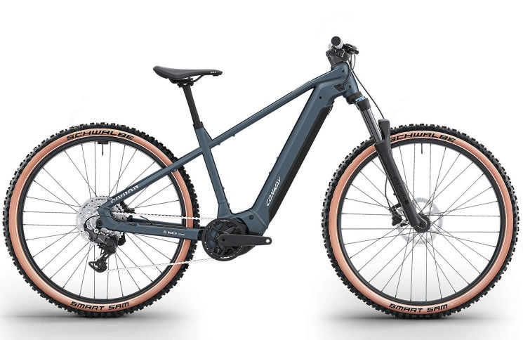 CONWAY Electric MTB Hardtail Cairon S 2.0 800 №1 29"/41cm-S/9/anthracite matt/02810630