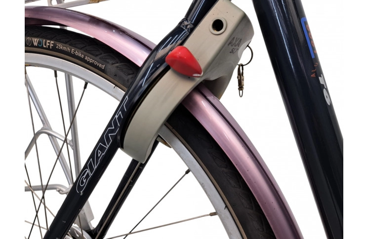 Man's bicycle Giant Freerider 28"/54cm/blue