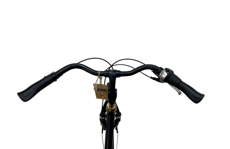 Woman's bicycle Batavus Dinsdag 28"/54cm/Black