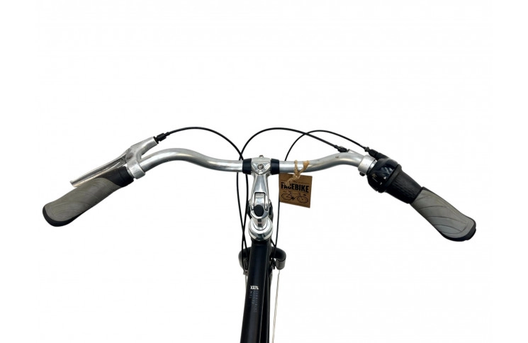 Man's bicycle Batavus Mambo 28" L/57