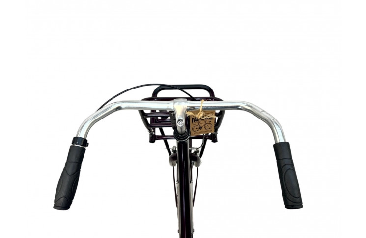 Girls bicycle Popal Daliy M/violet/al/20/stad/f33