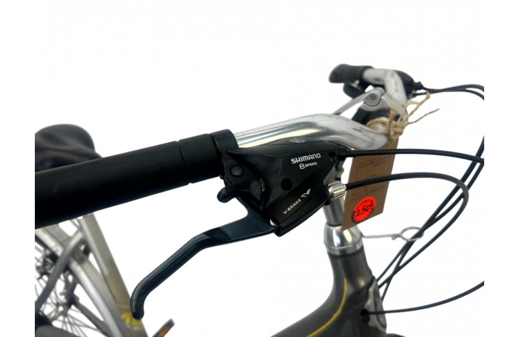 Woman's bicycle Gazelle Medeo 28" 53