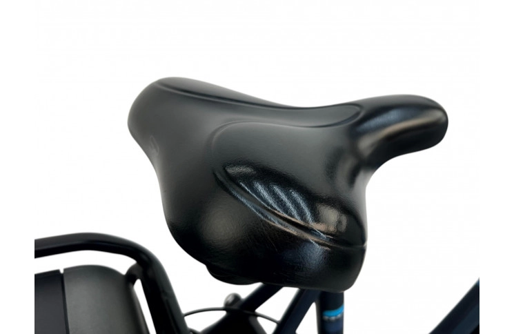 Woman's bicycle Gazelle Paris E-bike D/al/Blauw/28/stad/f62 (36V 11Ah 400Wh)