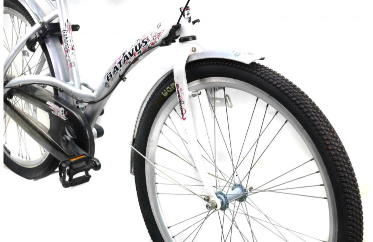 Woman`s bike Batavus Gabana