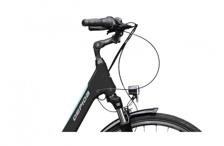 Gepida 1000 Nexus 7/300Wh/28"/D49/black