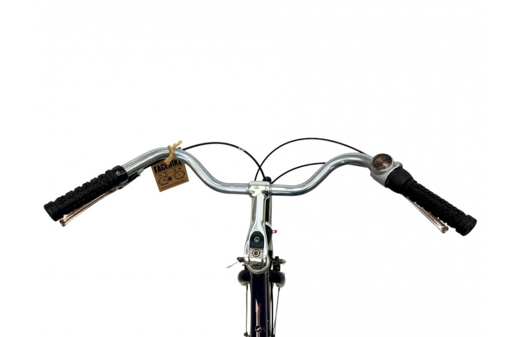 Man's bicycle Giant Freetime m/blue/al/28/sity/61