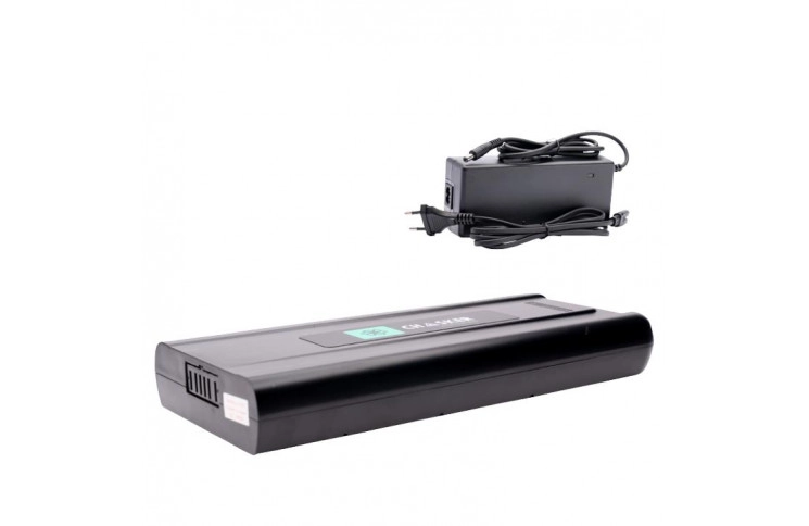 Sparta / Batavus B400 36V 12.8Ah Bicycle Battery with New Charger