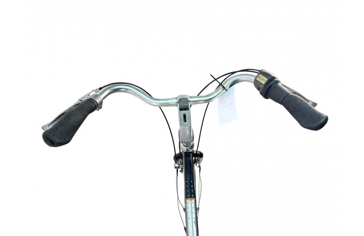 Man's bicycle Gazelle Davos 28"/53cm/Black-gray