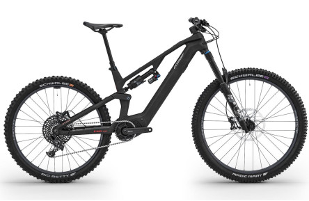 CONWAY Elektrische MTB Full-Suspension Ryvon LT 4.0 29"/42cm-M/12/carbon - zilver/02830076