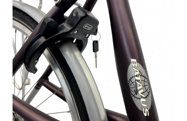 Woman's bicycle Batavus Kayenta 28" 49"