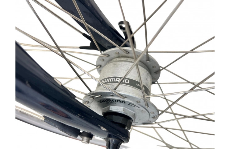 Damesfiets RIH Z-800 28"/58cm/grijs