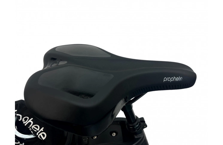 Woman's E-bike 28" Prophete Geniesser 22.ETC.10, 49