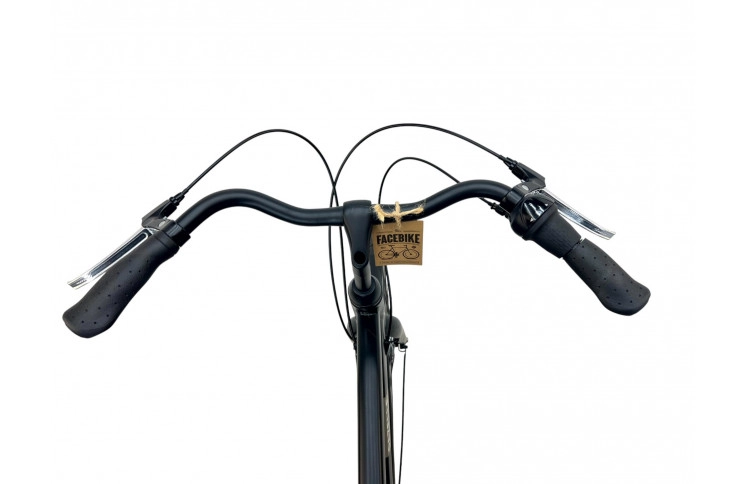 Herenfiets Gazelle Esprite 28"/54cm/zwart