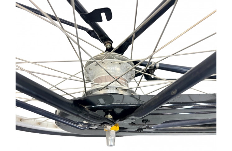 Women's bicycle Batavus Live 28" 58cm bronze-blue