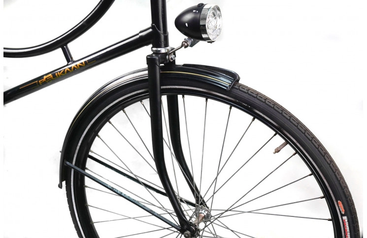 Woman`s bike Pelikan Clasique de Lux