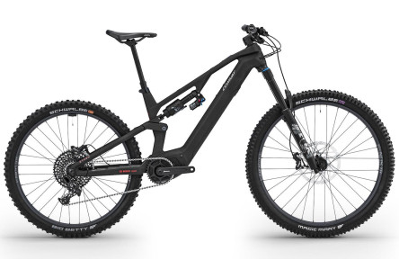 CONWAY Elektrische MTB Full-Suspension Ryvon LT 4.0 29"/46cm-XL/12/carbon - zilver/02830078