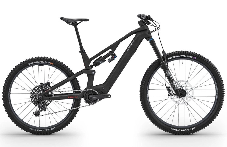 CONWAY Elektrische MTB Full-Suspension Ryvon LT 4.0 29"/46cm-XL/12/carbon - zilver/02830078