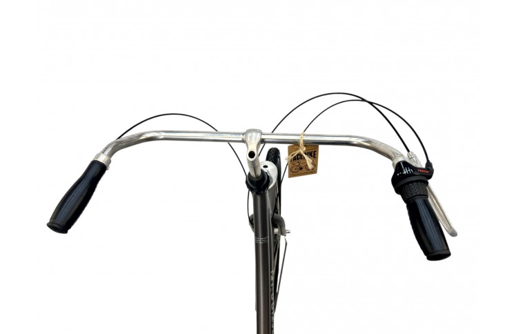 Damesfiets Cortina U4 D/al/grijs/28/transp/f57