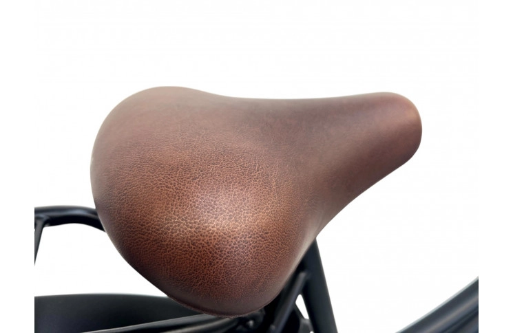 Woman's bicycle Avalon Pic-up staal dames Matzwart 50cm N3