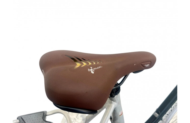 Damesfiets Batavus Socorro 28" 58