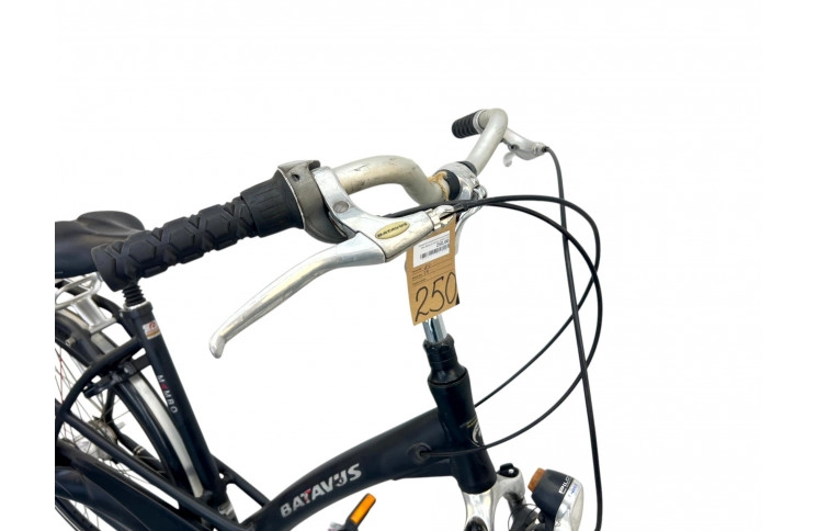 Woman's bicycle Batavus Mambo 28" 54