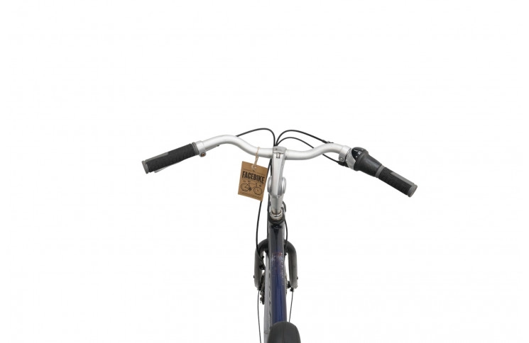 Man's bicycle Gazelle 28"/54cm/Blue