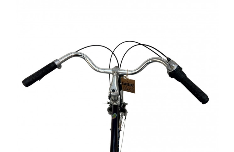 Man's bicycle Giant auckland M/st/28/blauw/stad/f57