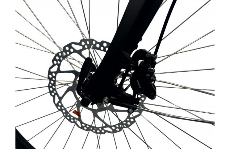 E-BIKE VOGUE MIO M300, 8SP 1, HYDRAULIC, 46CM, MATT-BLACK 13Ah/80Nm/468Wh