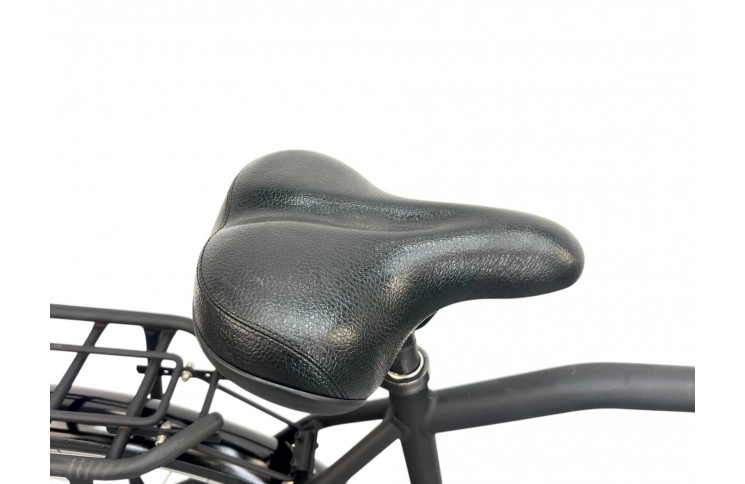 Man's bicycle Gazelle NL 28"/60cm/black