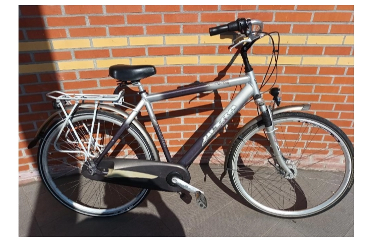Herenfiets Altra Commander